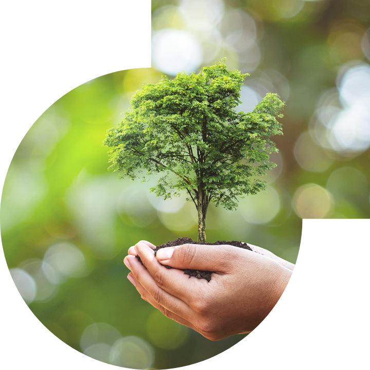 關懷人類、文化、環境與社會